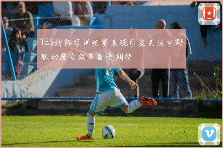 TES新阵容训练赛表现引发关注中野联动磨合效果备受期待