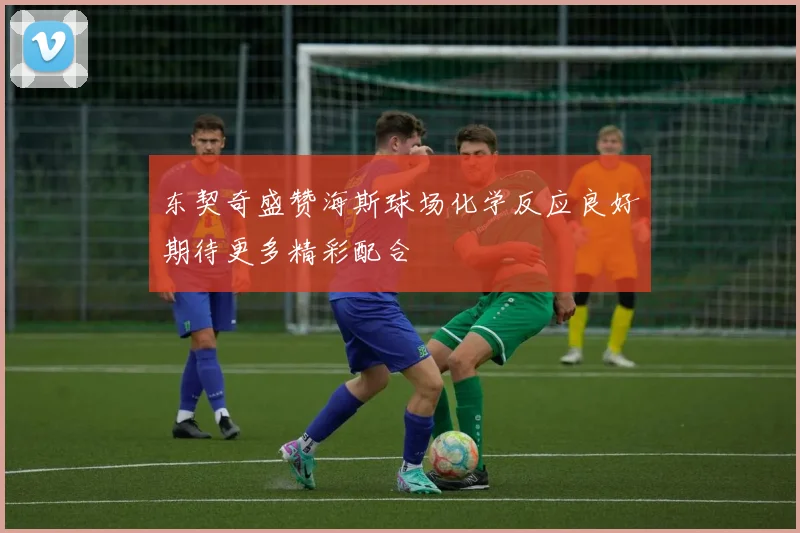 东契奇盛赞海斯球场化学反应良好期待更多精彩配合